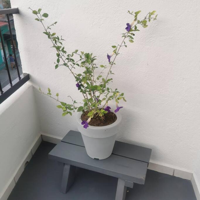 Lovely Studio Apartment With Balcony Ac & Wi-Fi, Minutes From Downtown! Сиуатанехо Экстерьер фото